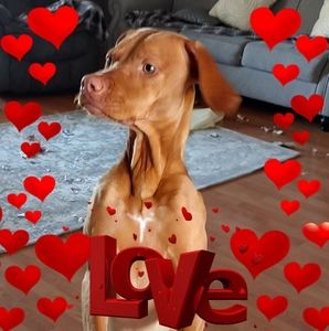 Meet your Posher, Vicki